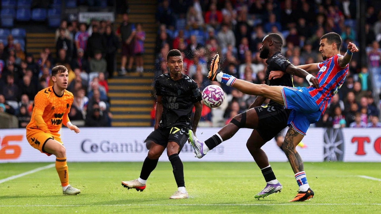 Reactions: Coaches, Players, and Fans